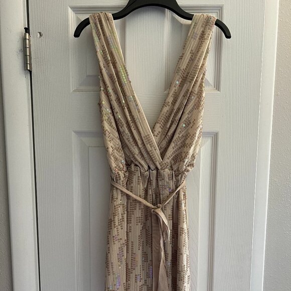 Nude Iridescent Sequin Dress - Express - Picture 1 of 3
